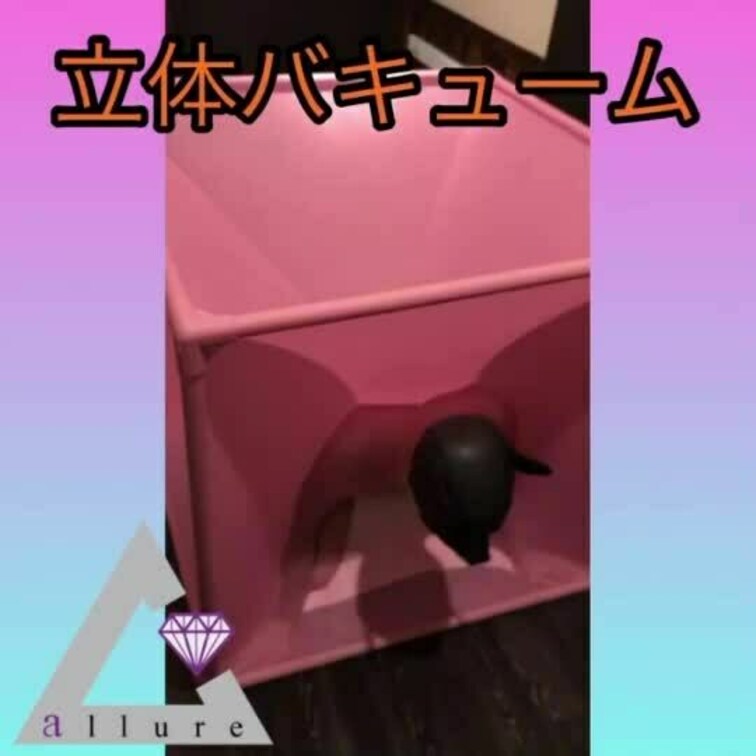 立体バキュームベッドに○○○束してみた
