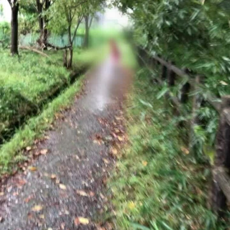 さゆり走れるんです🌹
