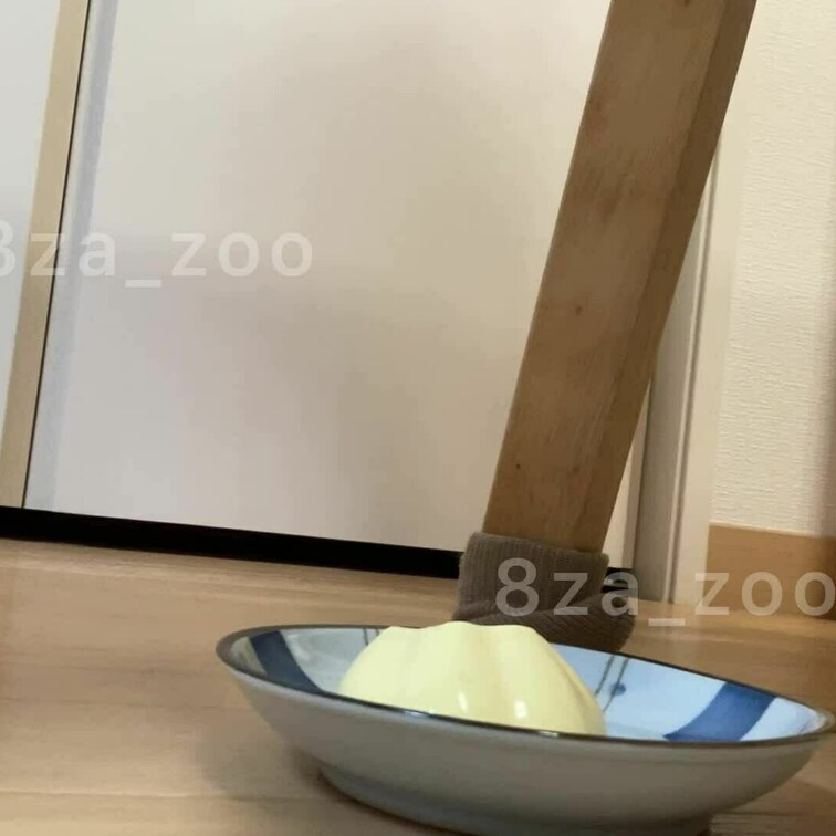 初めて踏んだ…2