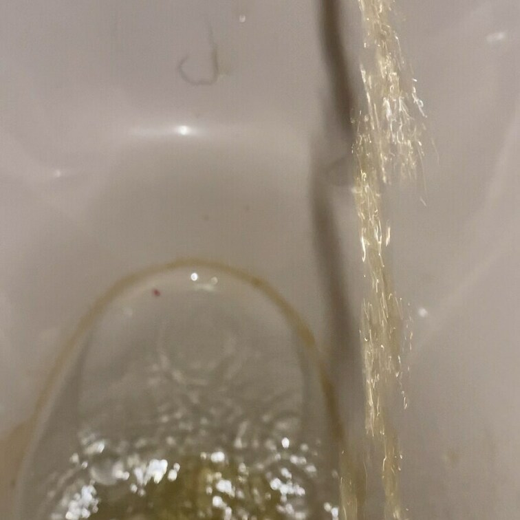 逆向きに座ってトイレでちっちしました🚽💛ᩚ
いっぱい出た//(〃^∇^)o_彡☆
