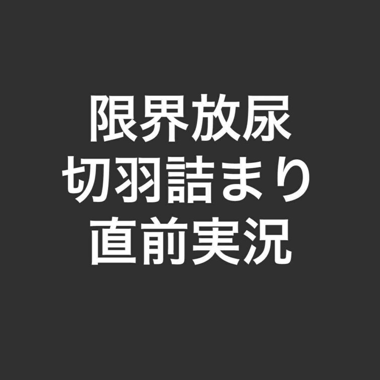 ギリギリ直前の限界放尿を
慌てながら録音したものです