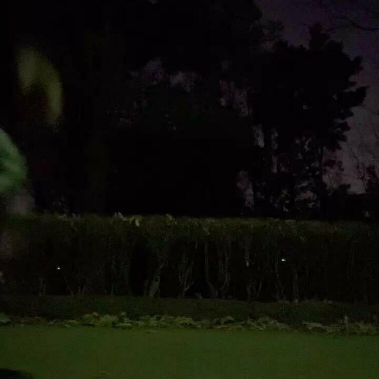 夜の公園で露出オナ

ここまで全裸になったのは初めて。
