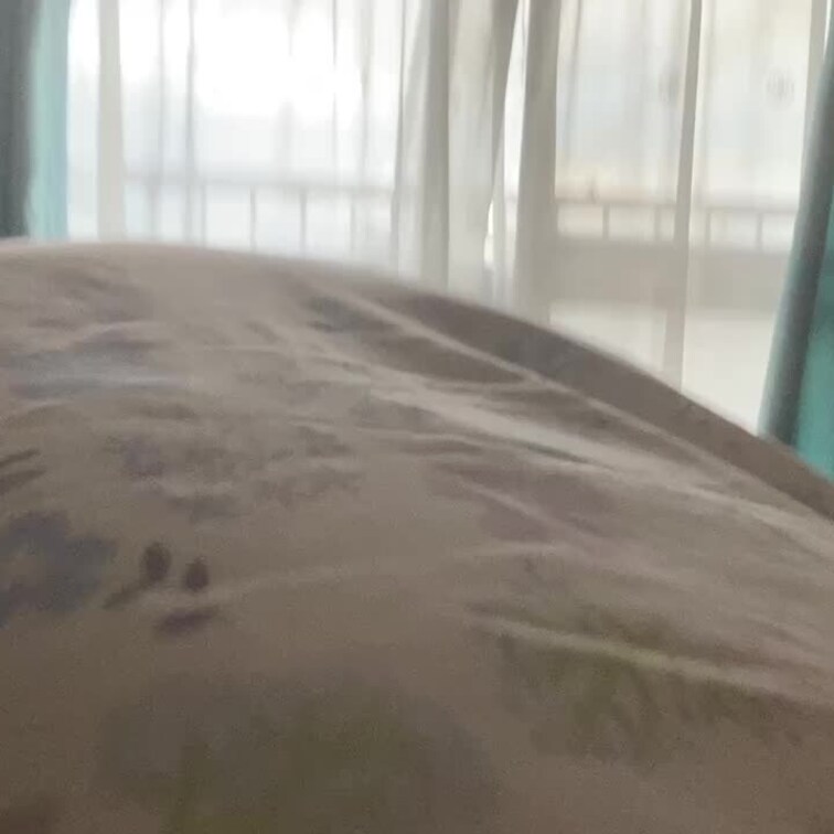朝イチのおしっこ( ¨̮ )✨

First Pee of the Morning✨