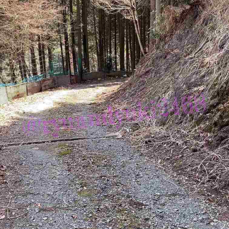 《早咲き桜の後》

早咲き桜との撮影の後いつものように何も持たずに全裸のまま歩いてるもらいました😆

ゆきの一言