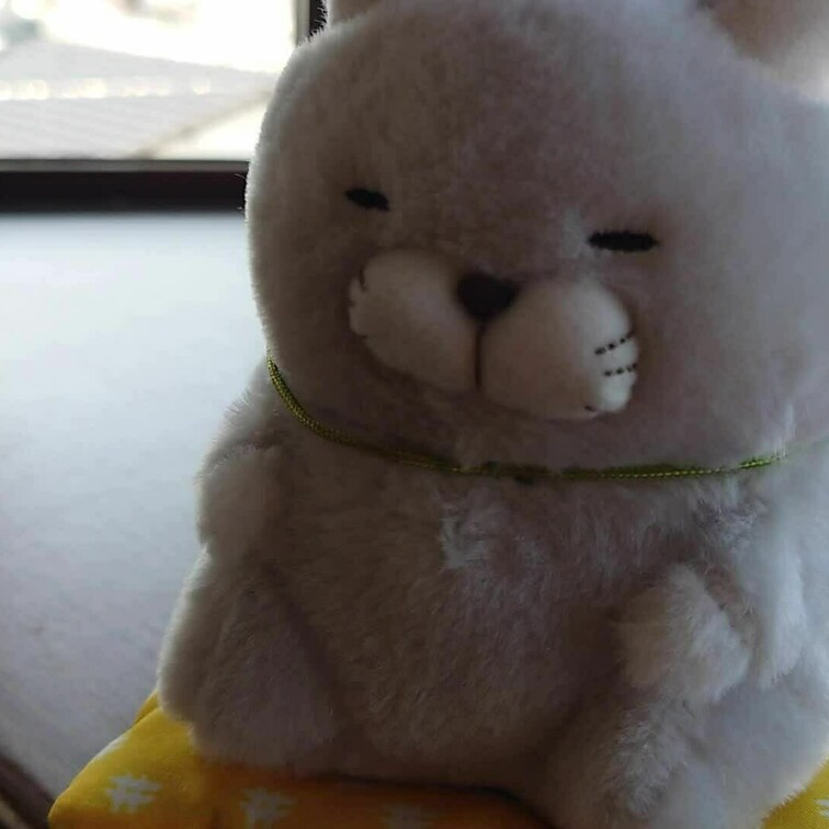 皆様いつもありがとうございます😼😼😼