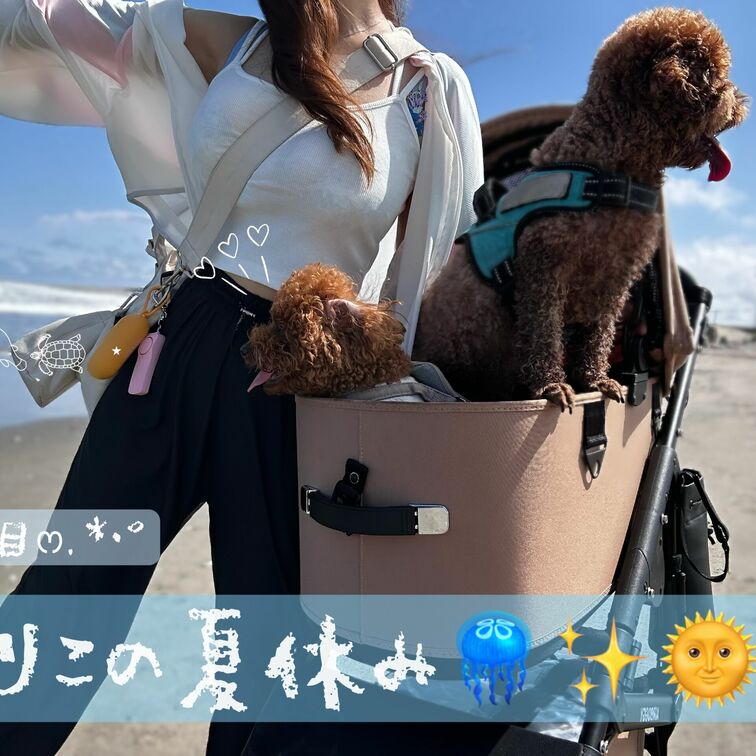 


昨日から旦那さんが夏休みに入ったので、私も夏休みに入らせて頂いてます(⌯'ᵕ'⌯)´-‪ෆ‪.*･ﾟ

