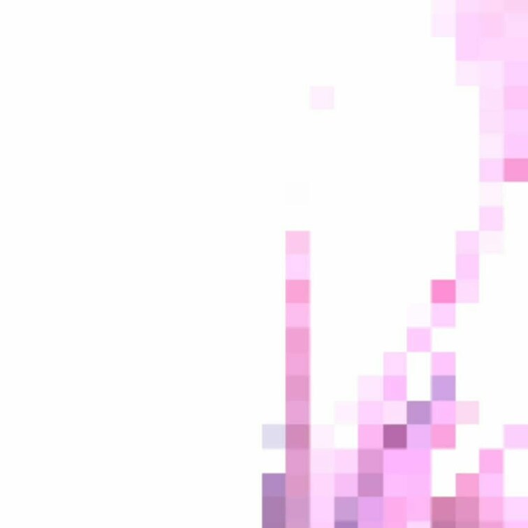 あれ？...潮が､､､遅れて､､､出てくるよ