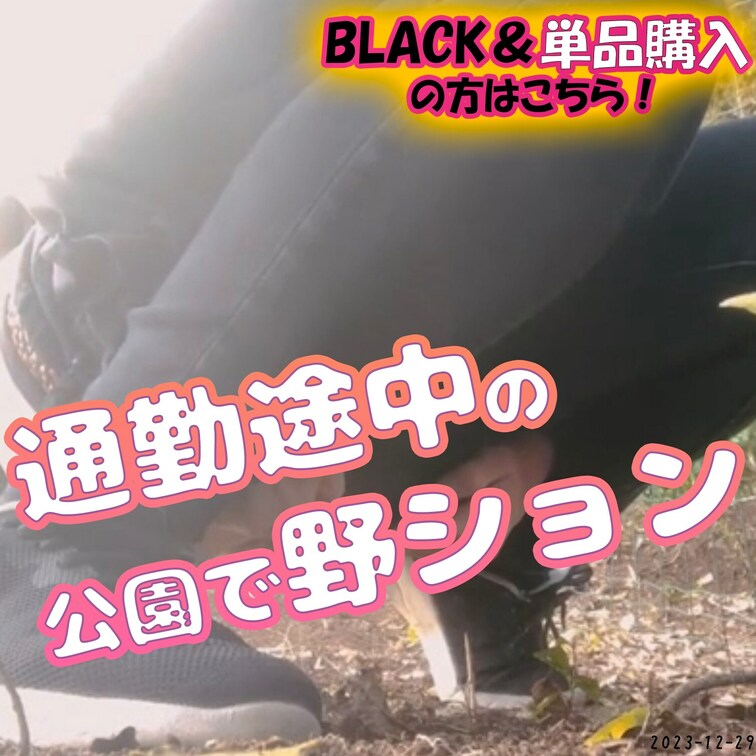⛲通勤中に公園で野ション⛲
通勤中どうしても我慢できなくて、途中の公園で野ションしちゃった💦
枯葉で隠したからバレて