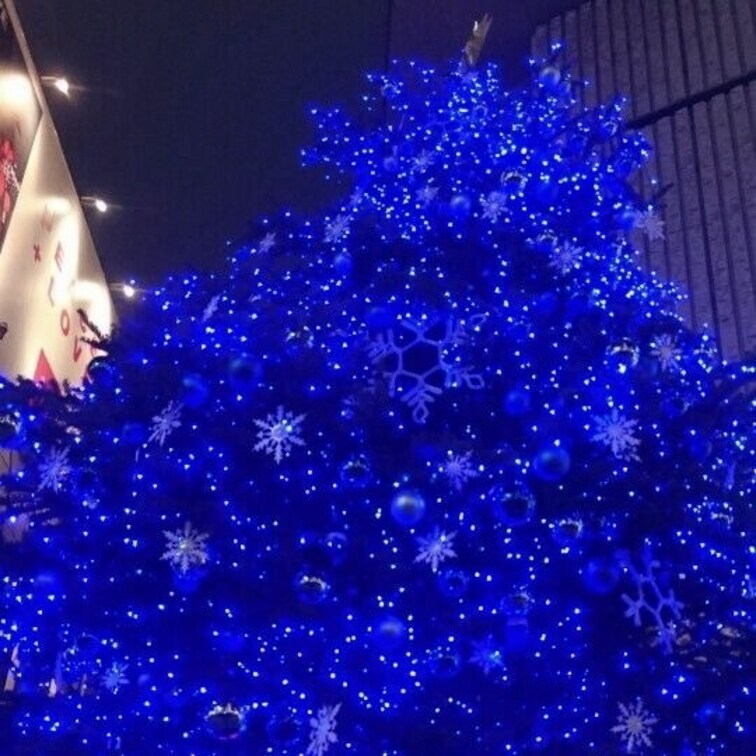 今年のクリスマスも楽しみだなあ❣️
この季節が一番好き🎁💋渋谷のツリーです❤️