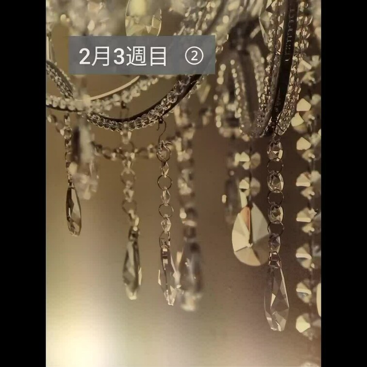 2月3週目②