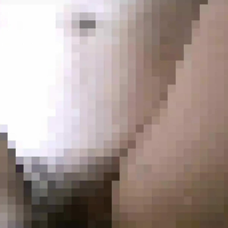 ほぼ全画面モザイクが必要な粗い撮り方なのでボツにしました。