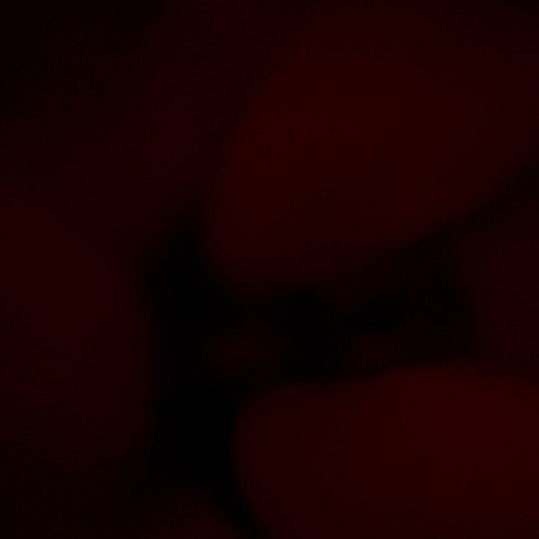 隣でイビキをかいて寝てる男がいるのにこっそりハメ撮り。
撮られてる事を知らずに最後は勝手に中出し。