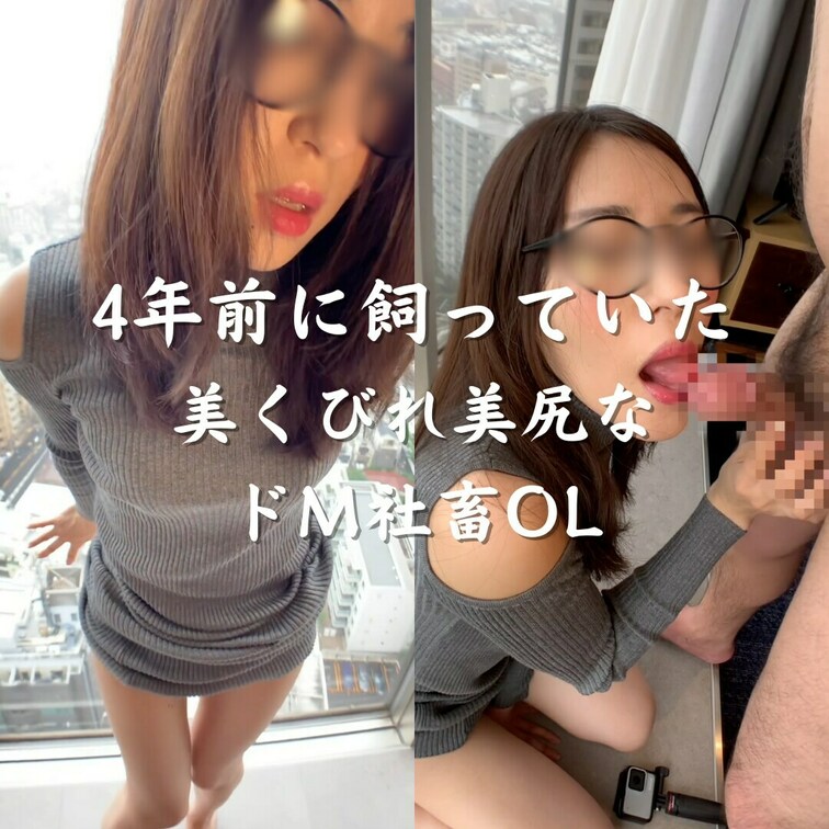 4年前に飼っていた美くびれ美尻なドM社畜OL　ホテルに呼び出して着衣セックス　窓際で羞恥プレイ　初めてのアナル開発　 生