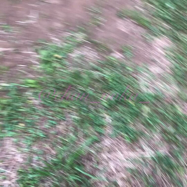 バレちゃった系のとウ◯風をどうしても撮りたかったセフレ君ww
これはテイク1です笑