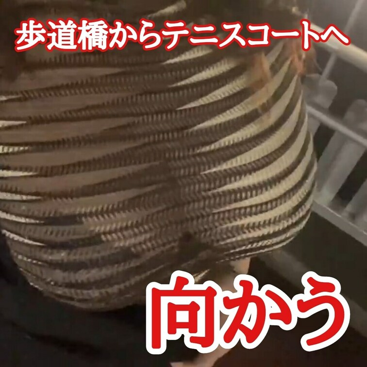 自撮りしながらテニスコートへ向かう
まだ人が沢山いる
人の声がして隠そうとするも
巨乳過ぎて隠せない