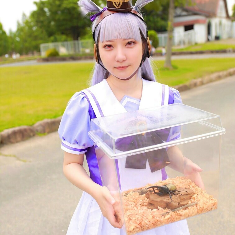 推し馬はゴルシちゃーん💕💕🐴💕