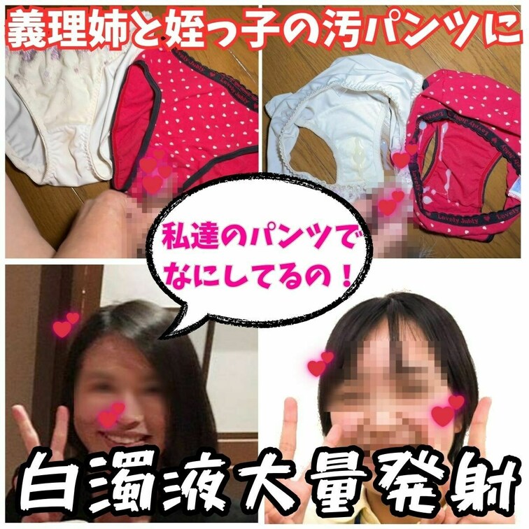 遂にやってしまいました。。。
留守番中の義理姉の家で洗濯物をいたずらしただけでは満足出来ずに、義理姉、姪っ子の洗濯物が