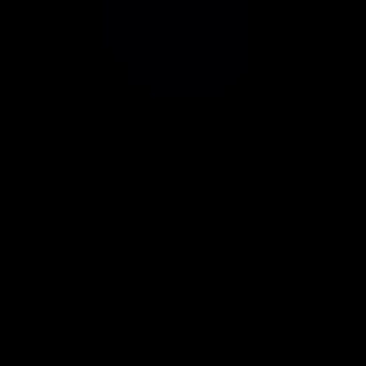 231206