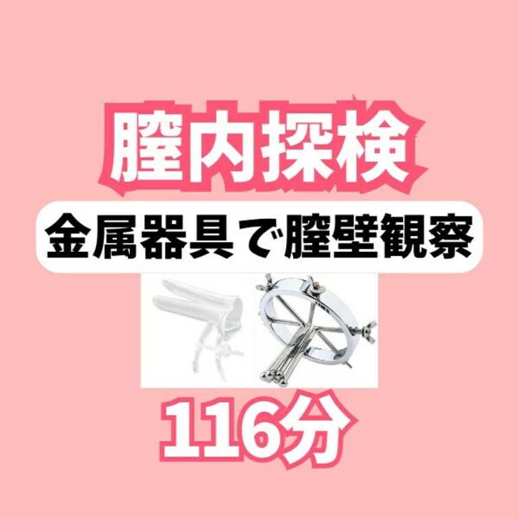 2024/9/10 8181LIVEアーカイブ膣壁観察-金属器具＆プラクスコ編
約2時間のアーカイブです。

8月