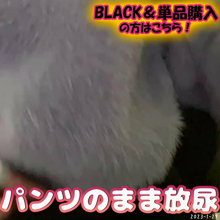 🍄パンツ履いたまま放尿🍄

配信中にまさかの3回👀💦
本編動画は、2分以上❣️

BLACKmember専用ト