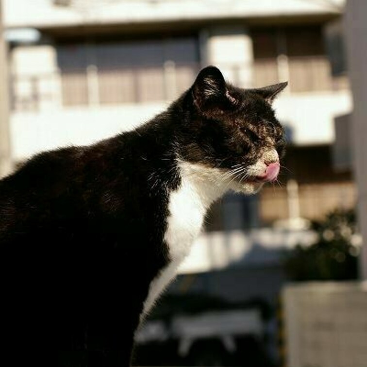 ぺ○○○