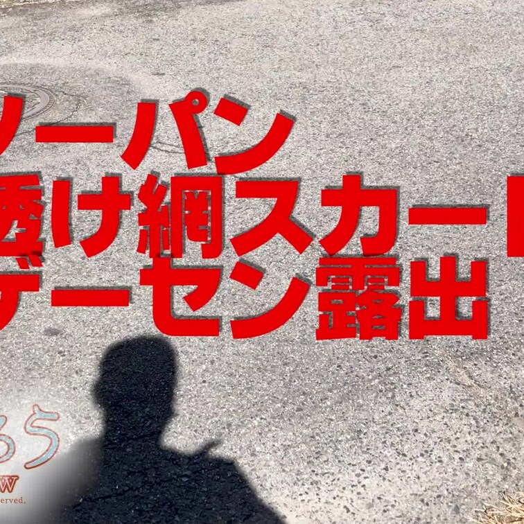 ノーパン
透け網スカート
ゲーセン露出