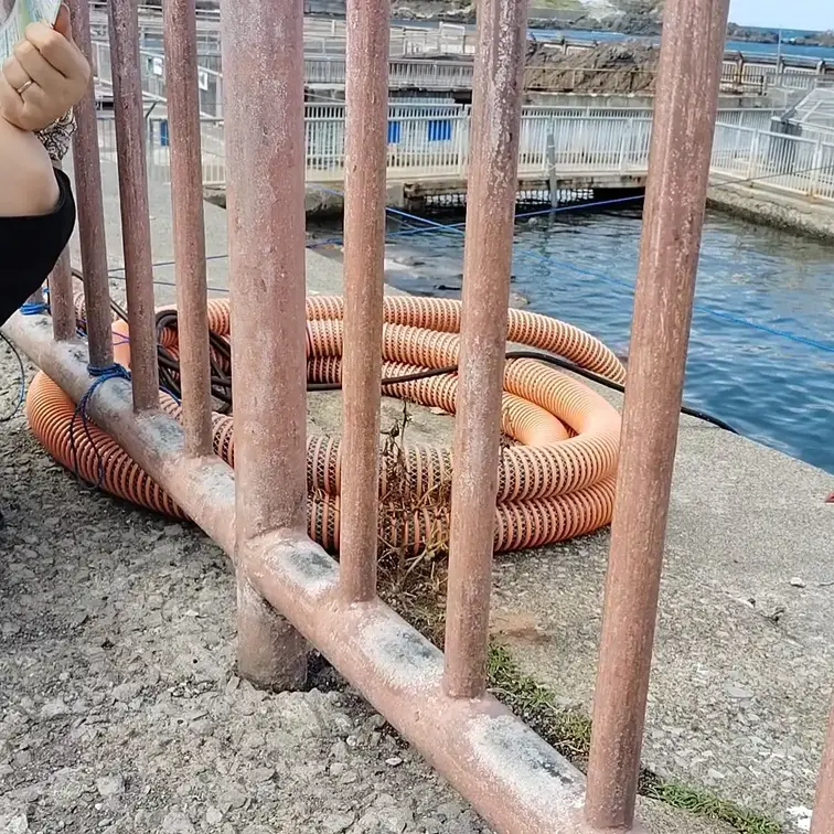 ♥️露出♥️北海道露出(2日目昼)
水族館でミニスカ露出
目の前のミニスカ熟女がしゃがんでいる
どうやら目の前