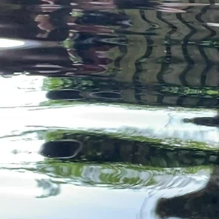 混浴バンザイ4