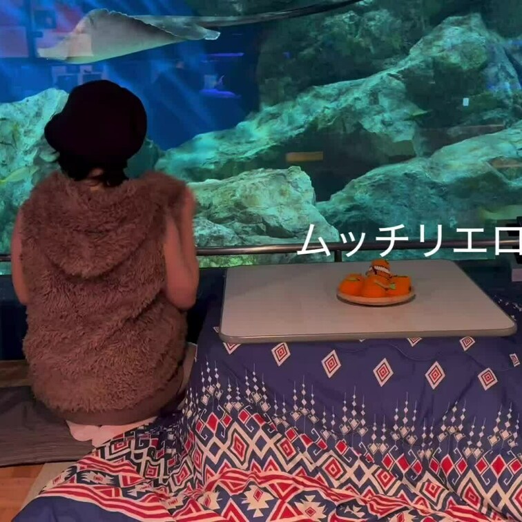 加奈ちゃんは炬燵🐟に夢中💓
お○○○様達は🍑に夢中✨

