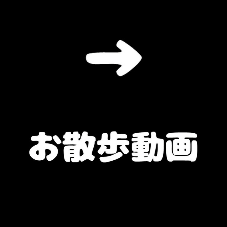 固定投稿用しおりです