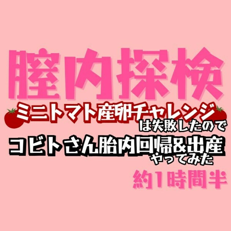 1/28♡膣内探検ミニトマト産卵チャレンジは失敗したのでコビトさん出産プレイやってみた1時間半

膣内探検！ミニトマ