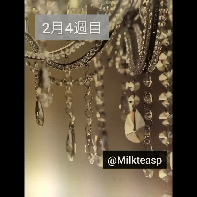 2月4週目