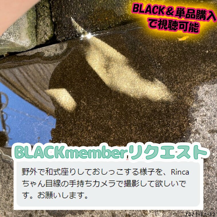 11/12(日)💌BLACKmemberリクエスト💌
リクエスト内容▼
『野外で和式座りしておしっこする様子を、手持