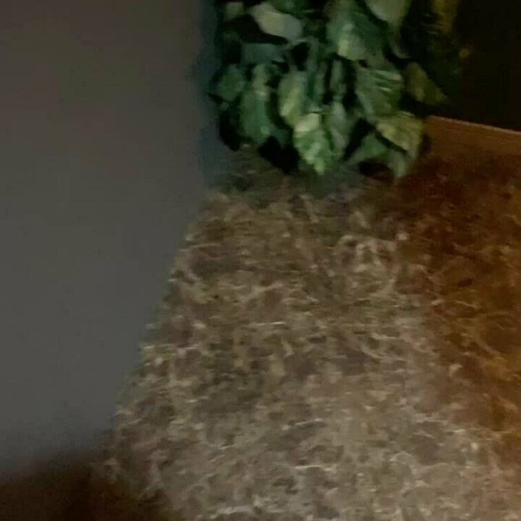 最新シリーズは試写室寝取られ♫

妻と単独さんを部屋に放置して私は退室。

コーヒー飲んで帰ってきたらこんな感じ