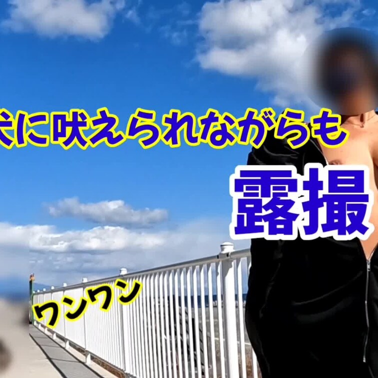 応援プラン
お散歩中のワンちゃんに吠えられながらも脱ぎ散らかしてきました🤭