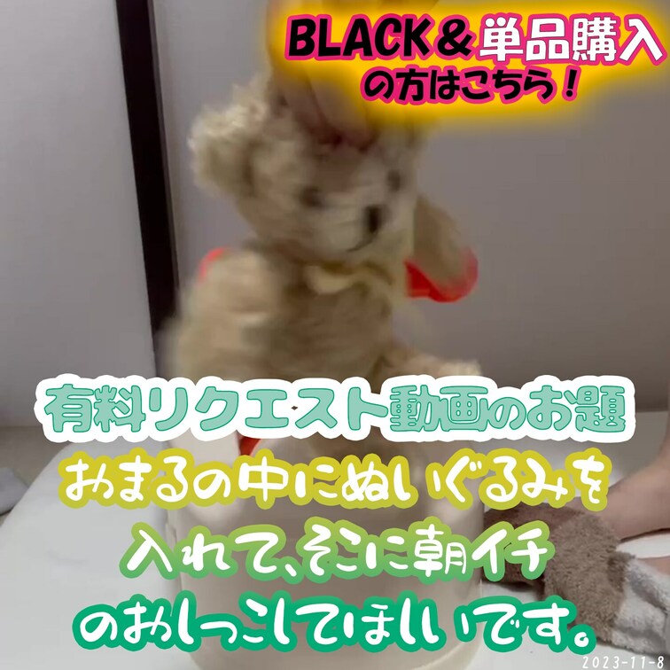 11/8(水)💰ぬいぐるみぶっかけ放尿💰
有料リクエストからお題撮影させて頂きました🙌
リクエスト内容▼
『おまる
