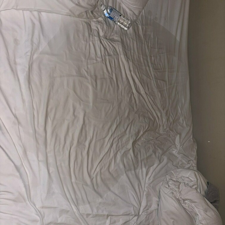 この前フォロワーさんと会ったんだけど、気持ち良すぎてベッドが大変なことになっちゃった♡🐳
この後寒すぎてベッドの上寝ら