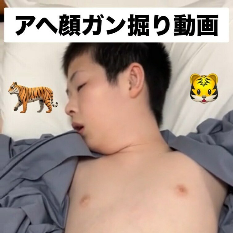 大人気とらシリーズ続々配信します🐅