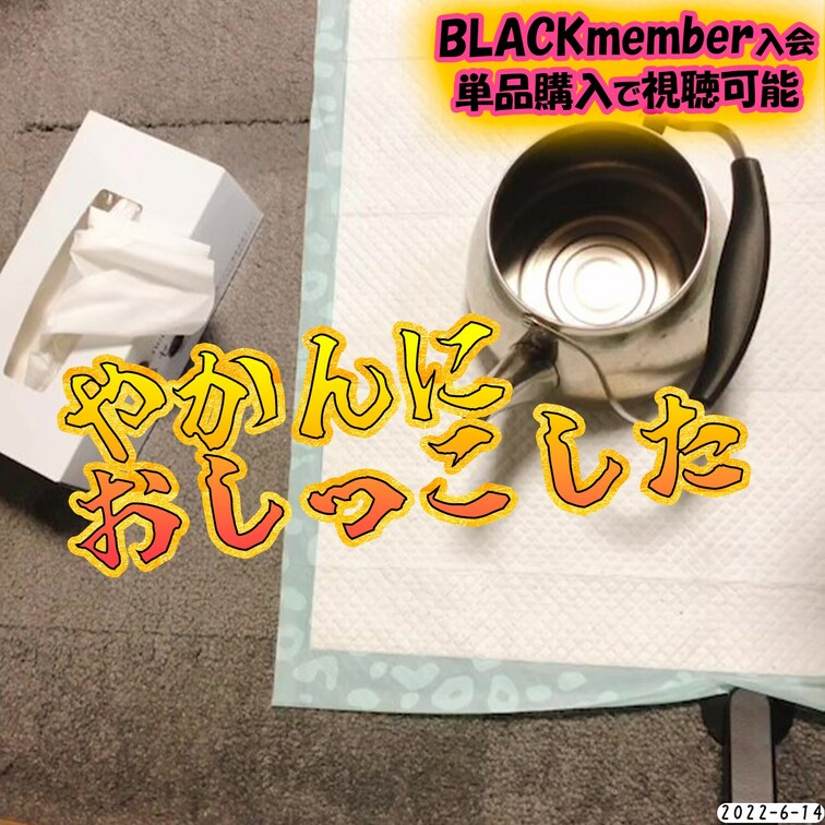 2022-06-14
📛やかんにおしっこ入れた📛
普段は麦茶を沸かしているやかんにおしっこしちゃった。
性癖がねじ