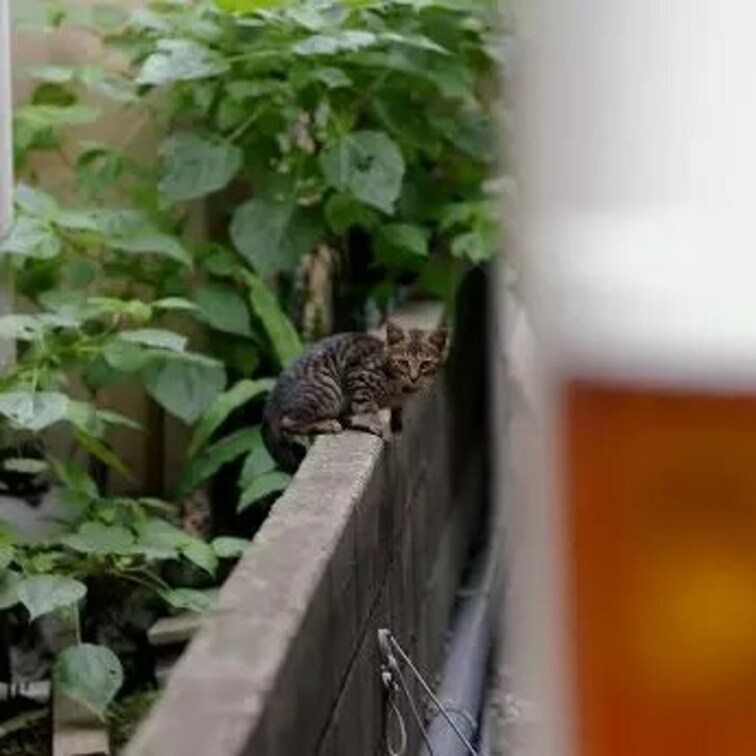 ちっこいなあ