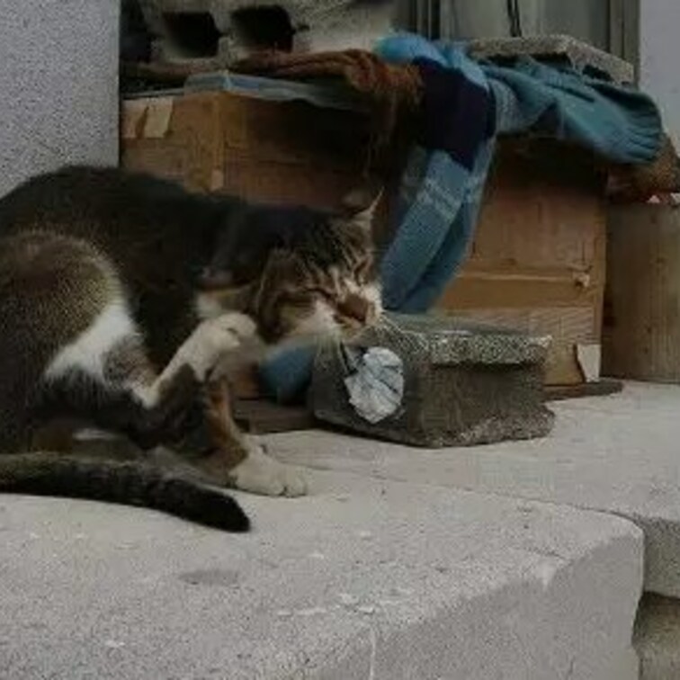 後ろ足、器用ね