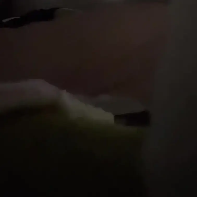 営み動画🎥
クンニして、妻が逝っちゃったら即挿入❤️
そして即射精😅