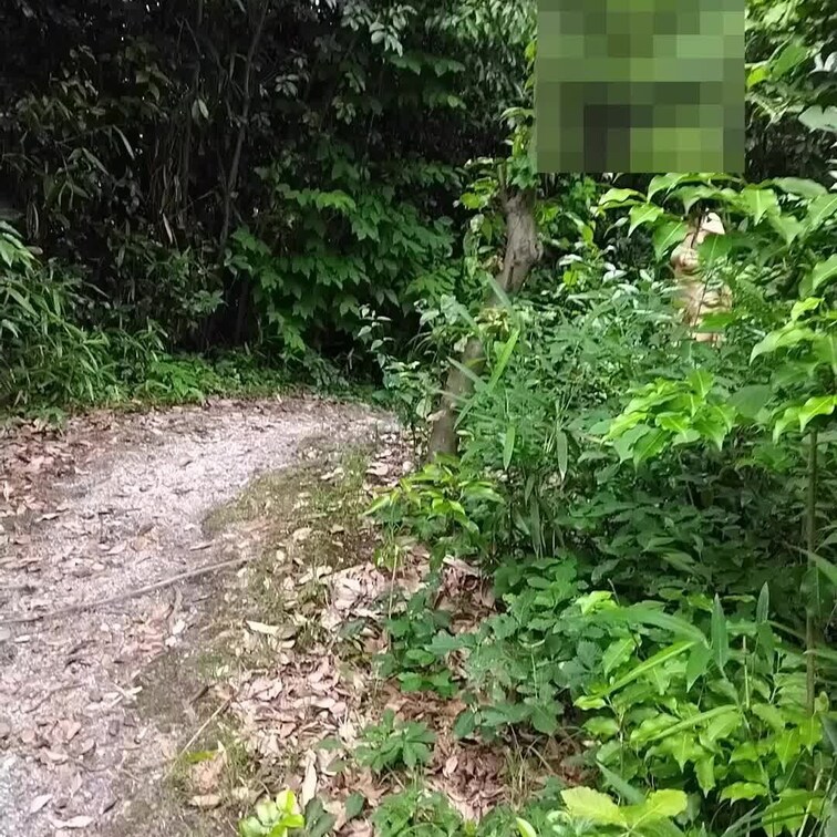 山の中から全裸で現れたらビックリですよね(笑)