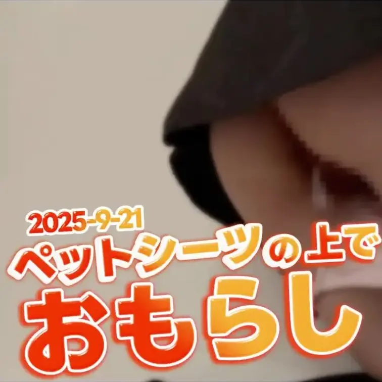 2025-9-21
[ペットシーツの上で用を足す私]
「助けて」って言いながら、必死に我慢してたのに…💦
最後はペ