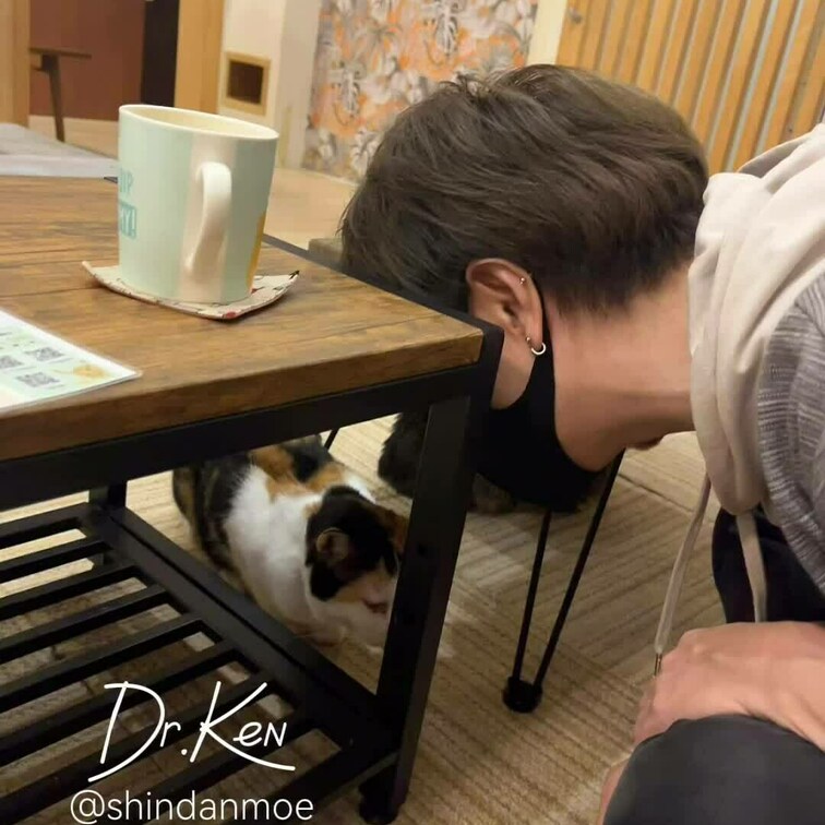 ヌコと戯れるDr.Kenです笑
最後だけちょっとウスモザかけましたけど、顔がチラ見え出来ますし声も少し入ってます👨🏻‍