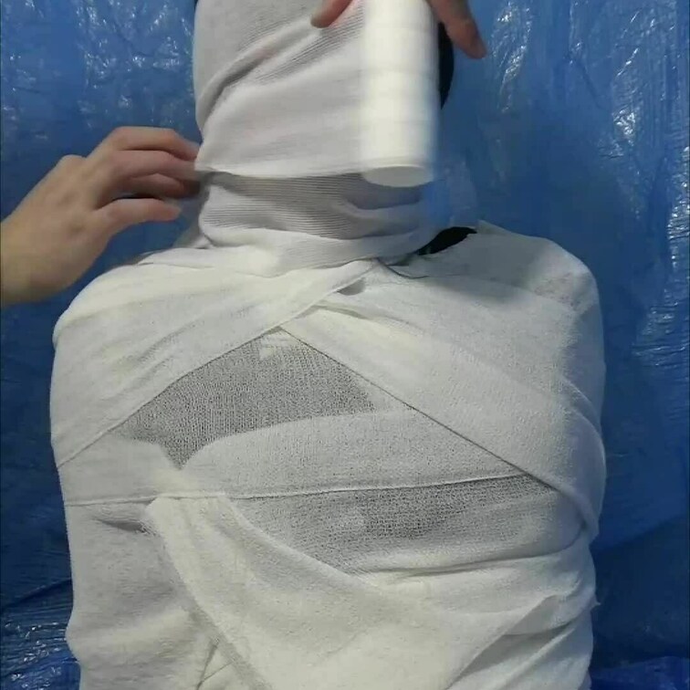 テスト