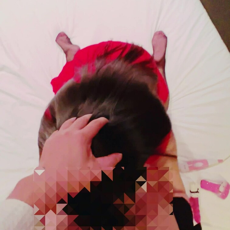 ❤️サンプル❤️