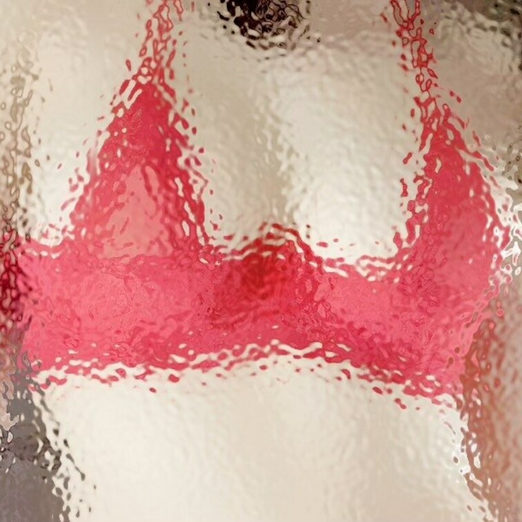 すりガラスなしはおっぱいプランです