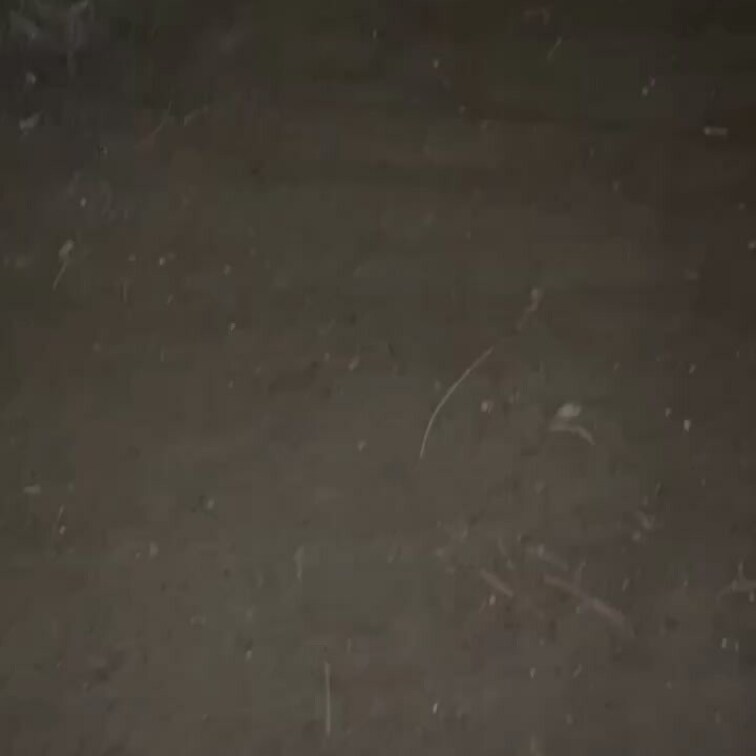 イキ疲れてベンチで寝っ転がってたら
いつの間にか寝ちゃってたら変質者みたいな
気持ち悪い動画がフォルダに入ってたので