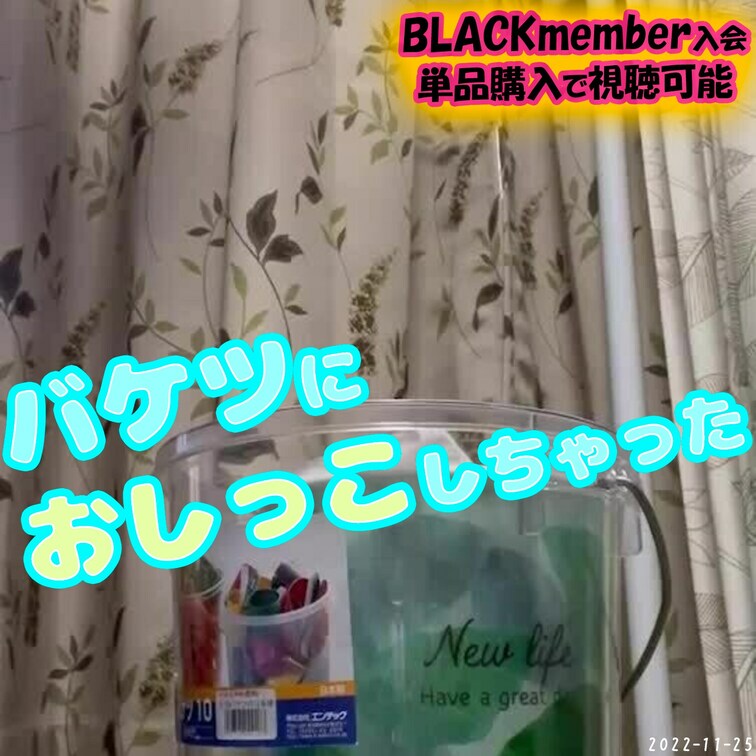 最近、急に寒くなりましたね。
おしっこに行く回数も増えました。
お手洗いまで行くのが億劫なので、バケツにおしっこしち